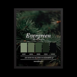 May include: A framed print featuring an evergreen color palette. The image displays a close-up of evergreen branches with the word "Evergreen" and color swatches in shades of green. Text below reads "Just enter the hex codes on shadesurfer" and "www.shadesurfer.io".