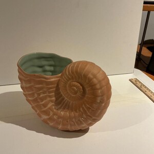 Peut inclure: Un récipient en céramique couleur terre cuite en forme de coquille de nautile avec un intérieur vert clair. Une règle en bois est placée à côté de l'objet, montrant que la coquille mesure environ 15 cm de longueur à la base.