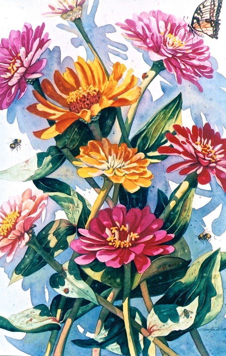 Print of Watercolor Original Zinnia Flowers 5x7 Matted Etsy