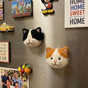 Pu&ograve; includere: Due calamite a forma di gatto con pelliccia bianca, nera e arancione sono esposte su un frigorifero. Un gatto ha segni neri e l'altro arancioni. Altri magneti includono un souvenir di New York, un taxi giallo e una figura di Topolino.