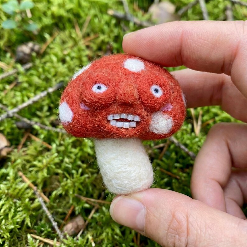 K&ouml;nnte beinhalten: Ein handgefertigter Filzpilz mit rotem Hut und wei&szlig;en Punkten. Der Pilz hat ein l&auml;chelndes Gesicht mit wei&szlig;en Z&auml;hnen und blauen Augen. Der Stiel ist wei&szlig;, und er wird vor einem gr&uuml;nen, moosigen Hintergrund gehalten.