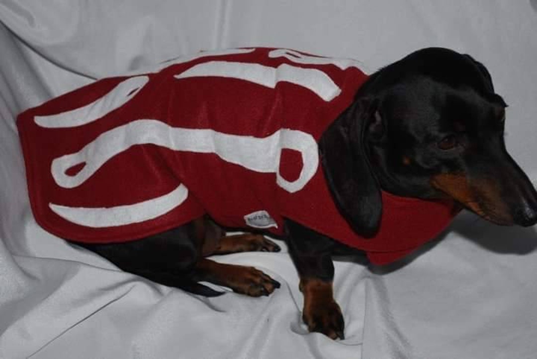 The Bacon Dog Costume Halloween Costume Pet Costume Dog Etsy