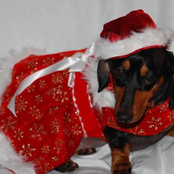 Mrs Claus Dog Dress Etsy