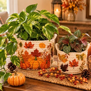 May include: Two round rope baskets featuring a printed autumn motif of orange pumpkins and colorful fall leaves. The larger basket holds a trailing pothos plant, while the smaller basket contains a fittonia plant with dark green and red leaves.