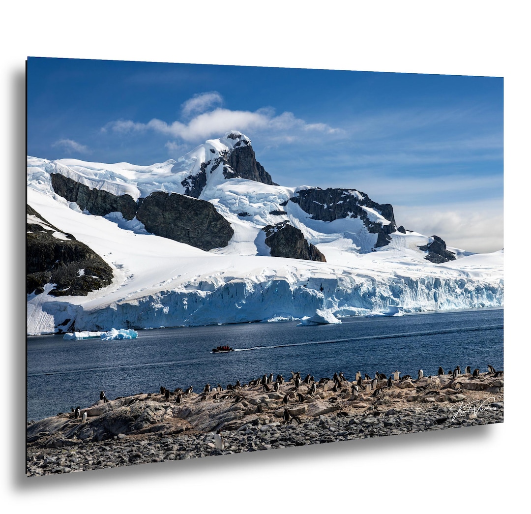 Antarctica Penguin Colony Photo Print Scenic Mountain Landscape Wall antarctica-penguin-colony-photo-print-scenic-mountain-landscape-wall