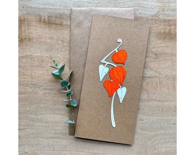 Paper - Cut Cards: Hand Coloured Physalis (Chinese Lanterns)