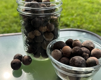 Oak Galls (Large Bag)