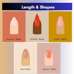 May include: An illustration showcasing different nail shapes: Almond, Stiletto, Coffin, Oval, and Square. Each nail is painted with a different color, ranging from light pink to bright orange. The image is labeled "Length & Shapes".