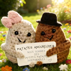 May include: Two crocheted potato figures, one cream-colored with a pink bow and the other brown, wearing a black hat. They hold a sign that reads "PATATES AMOUREUSES, NOUS SOMMES DES PETITES PATATES INSEPARABLES!" on a grassy background.