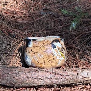 May include: A handmade ceramic bowl with a tan base and black rim. The bowl features a hand-painted design of birds and foliage in black, white, and yellow. The bowl is sitting on a piece of wood and surrounded by pine needles.