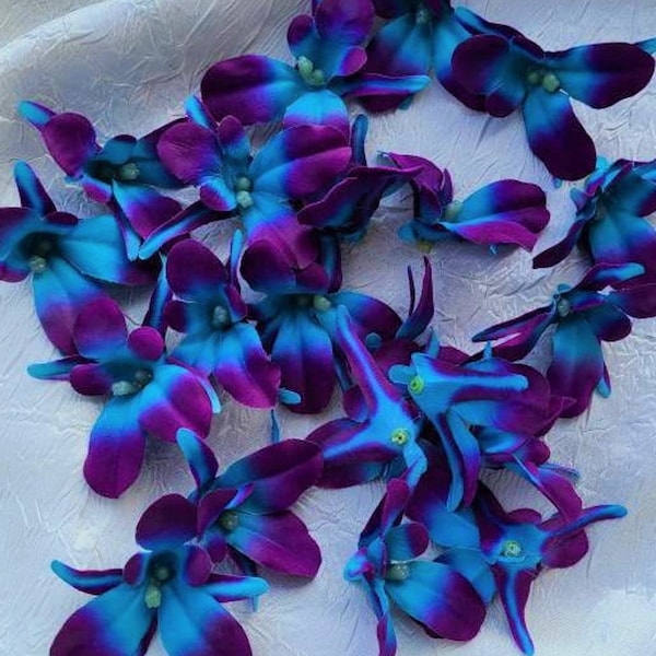 Purple turquoise galaxy orchid BLOOMS, heads, blue turquoise island orchid, turquoise purple orchids, ready to ship