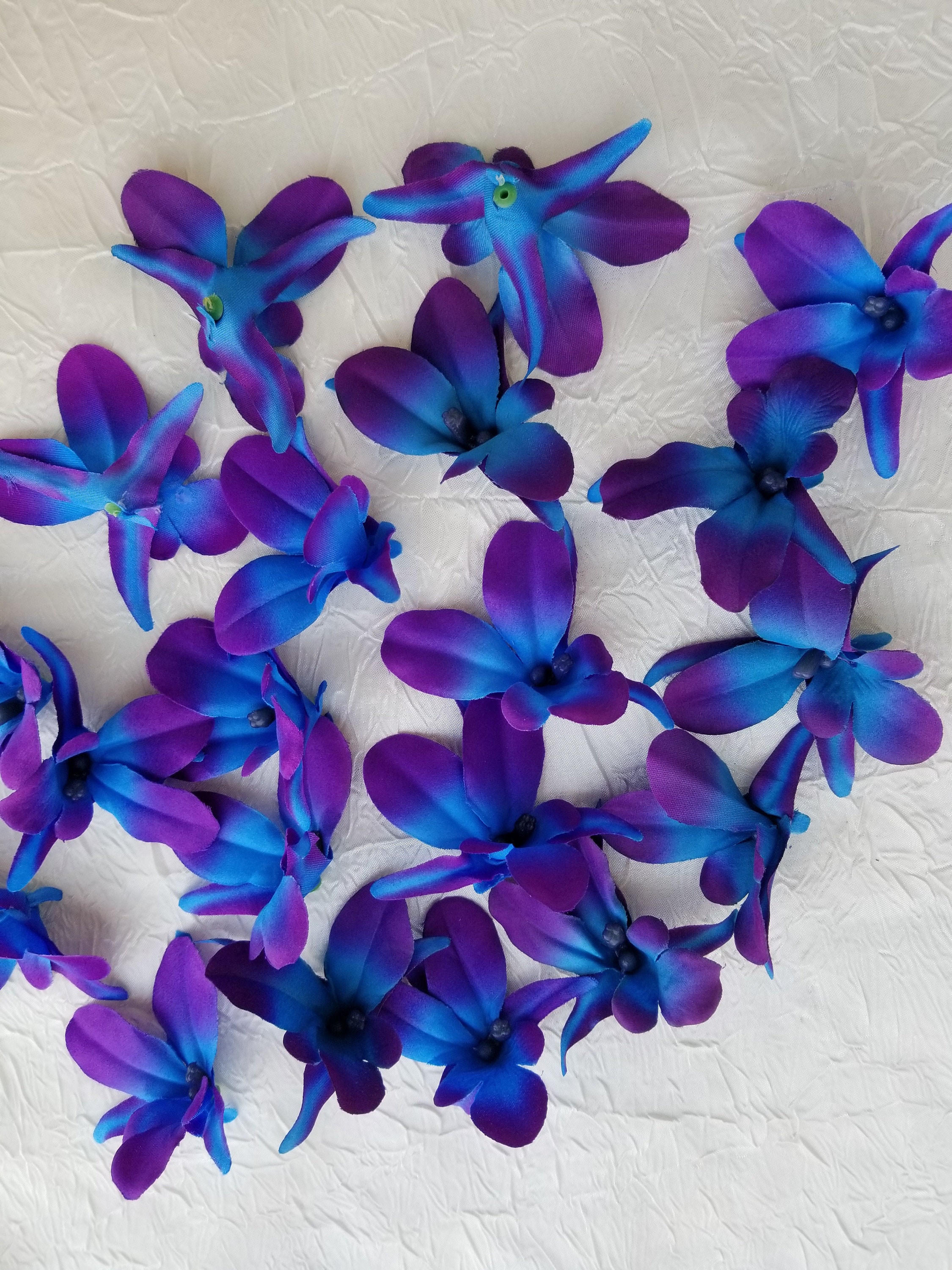 Purple Blue Galaxy Orchid BLOOMS, Heads, Blue Island Orchid, Turquoise  Purple Orchids, Ready to Ship 