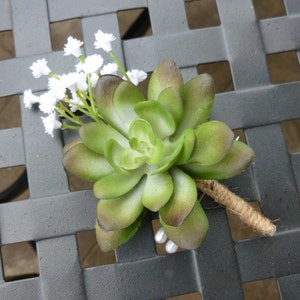 May include: A green succulent with white flowers, tied with twine, on a gray background.