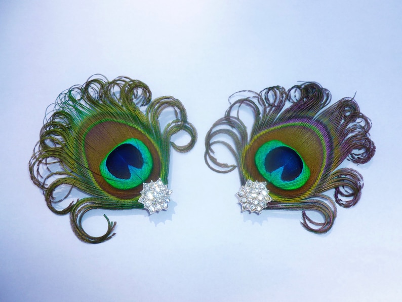 Pair of Peacock Shoe Clip Feather Shoe Clip Shoe Etsy