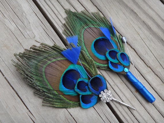Peacock clearance feather pin