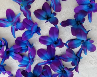 Purple blue galaxy orchid BLOOMS, heads, blue island orchid, turquoise purple orchids, ready to ship