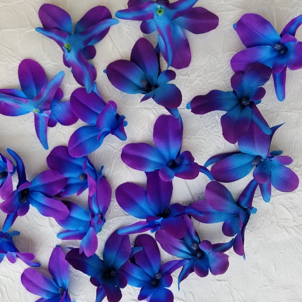 Purple blue galaxy orchid BLOOMS, heads, blue island orchid, turquoise purple orchids, ready to ship