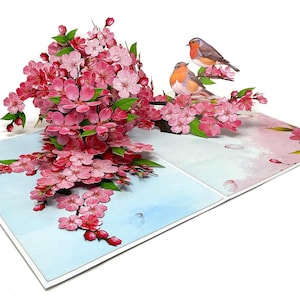 Tarjeta emergente personalizada de flores y petirrojos / Saludo 3D con temática natural / Tarjeta de primavera hecha a mano / Regalo único para amantes de las aves y las flores