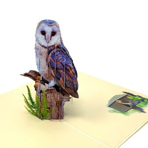 Carte pop-up 3D personnalisée hibou | Salutation d'anniversaire unique de hibou | Carte faite main sur le thème de la chouette pour toutes les occasions | Cadeau parfait pour les amateurs de hiboux
