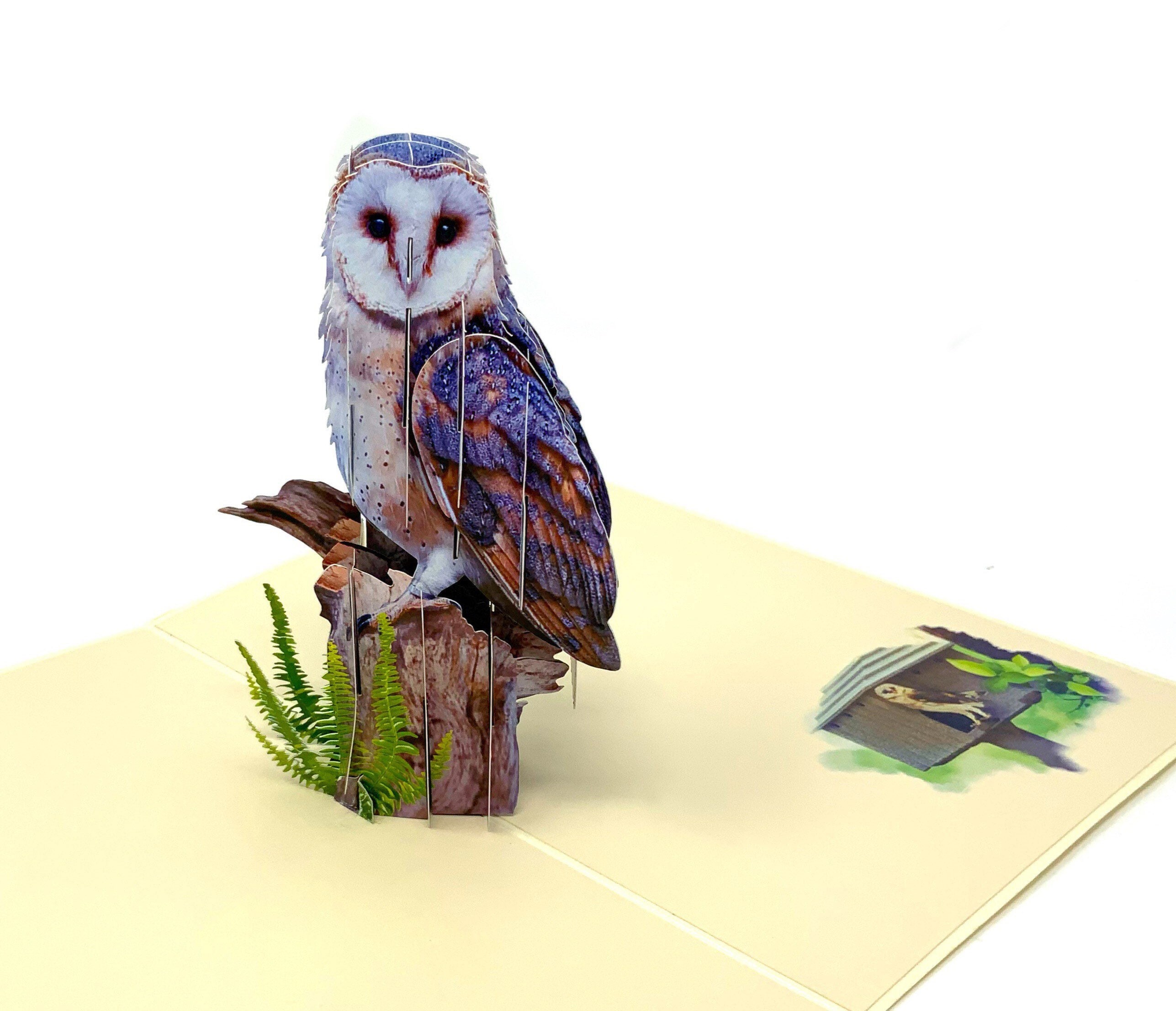 Personalised 3D Owl Pop-Up Card | Unique Owl Birthday Greeting | Handmade Owl-Themed Card for All Oc