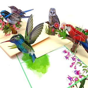 Lot de 4 cartes personnalisées Oiseaux | Cartes de voeux pop-up 3D oiseaux | Ensemble fait main | Cadeau unique pour les amoureux des oiseaux et les passionnés de nature