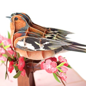 Carte personnalisée Pinson des arbres pop-up | Voeux d'oiseau 3D fait main | Cadeau unique pour les amoureux des oiseaux et de la nature