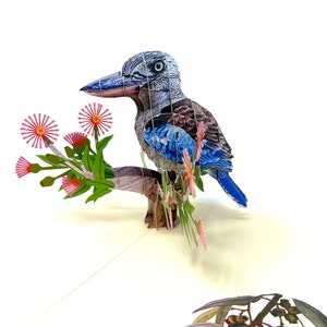 Personalised Pop-Up Kookaburra Card | 3D Charming Bird Greeting | Handmade Card | Unique Gift for Bird Lovers and Nature Fans”