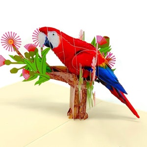 Personalisierte Pop-Up-Papageienkarte | 3D Bunter Vogel Gruß | Handgemachte Vogel- oder Tropenkarte | Einzigartiges Geschenk für Papageienliebhaber