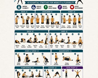 Puede incluir: Un póster instructivo blanco titulado Full Body Stretching Routine que presenta 40 ilustraciones numeradas de personas realizando diversos estiramientos para el cuello, hombros, pecho, espalda, caderas, torso, piernas y cuerpo completo.