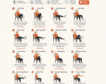 Ejercicios en silla para personas mayores / Rutina imprimible de abdominales y core sentados / Póster de ejercicios de bajo impacto para adultos mayores / Descarga instantánea