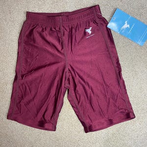 May include: Maroon athletic shorts with a white logo and the text "INSPORT". The shorts have an elastic waistband and a tag with the brand logo. The shorts are made of a lightweight, breathable material.
