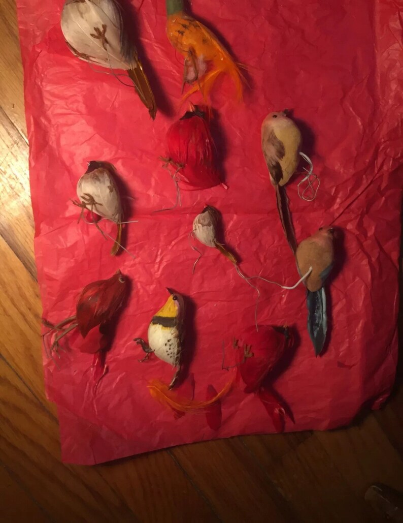 Wonderful collection vintage colorful feathered birds for holiday decorating birds liven up the place ~ Gods little creatures bring us joy
