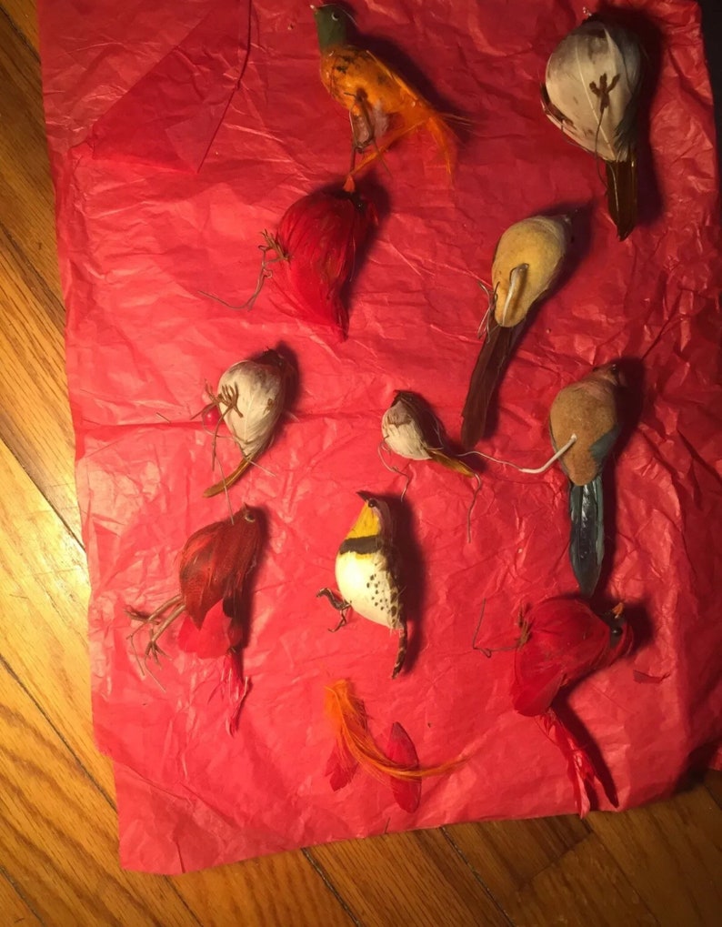 Wonderful collection vintage colorful feathered birds for holiday decorating birds liven up the place ~ Gods little creatures bring us joy