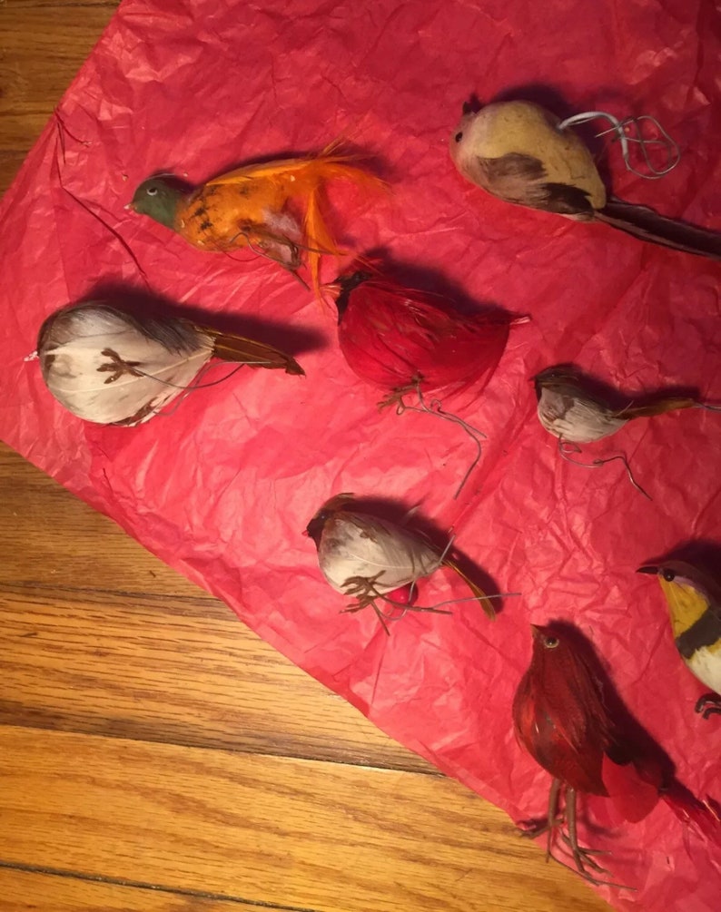 Wonderful collection vintage colorful feathered birds for holiday decorating birds liven up the place ~ Gods little creatures bring us joy