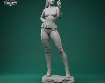 STL-Datei für 3D-Druck: Katzenmeisterdieb, Harzstatue-Modell einer Einbrecherkatze, ohne Stützstruktur, 3D-Druckdateien, digitaler Download