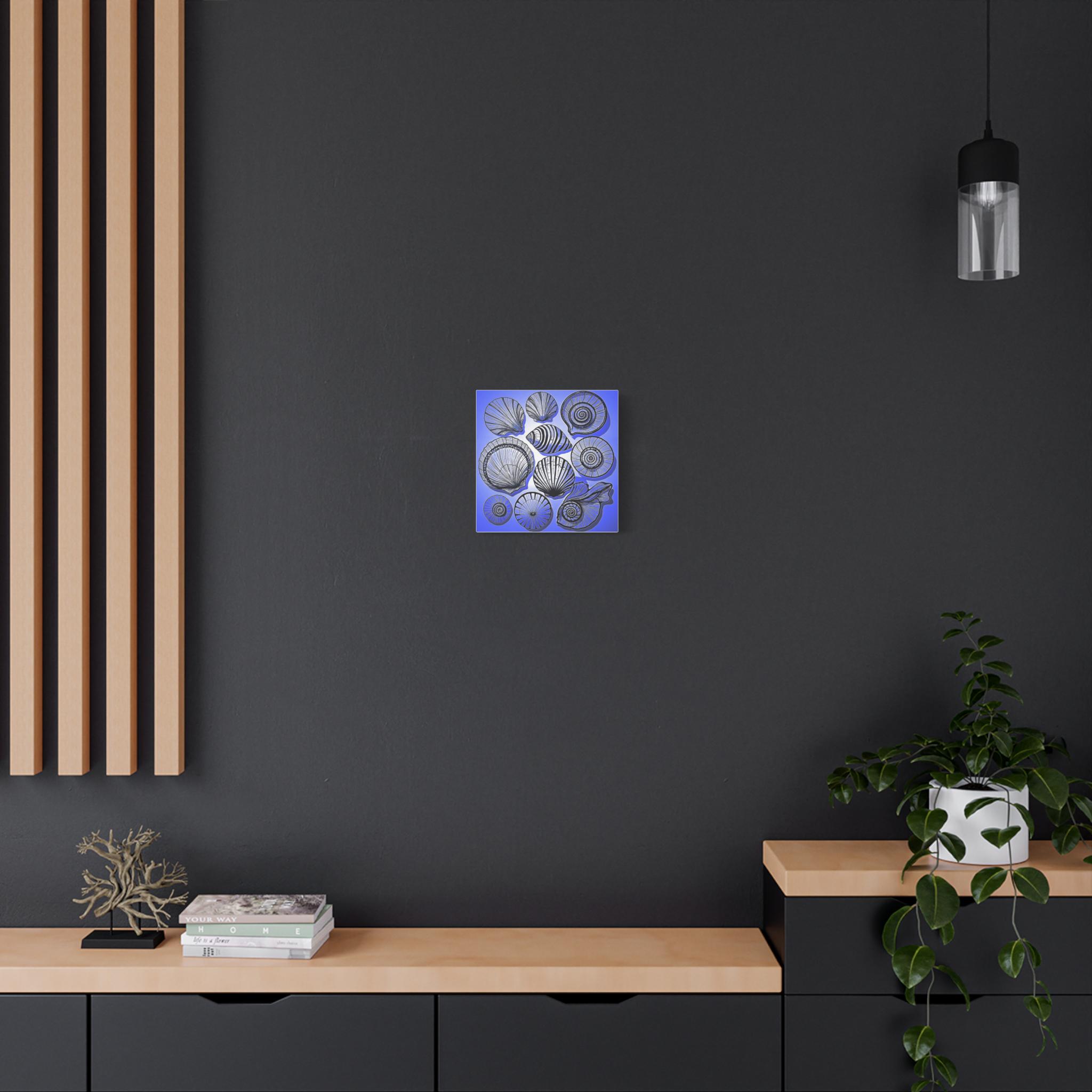 Shells 2 - Canvas Wall Art