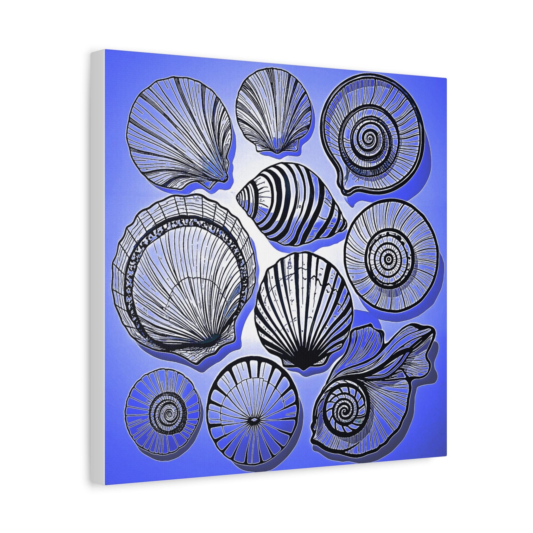 Shells 2 - Canvas Wall Art