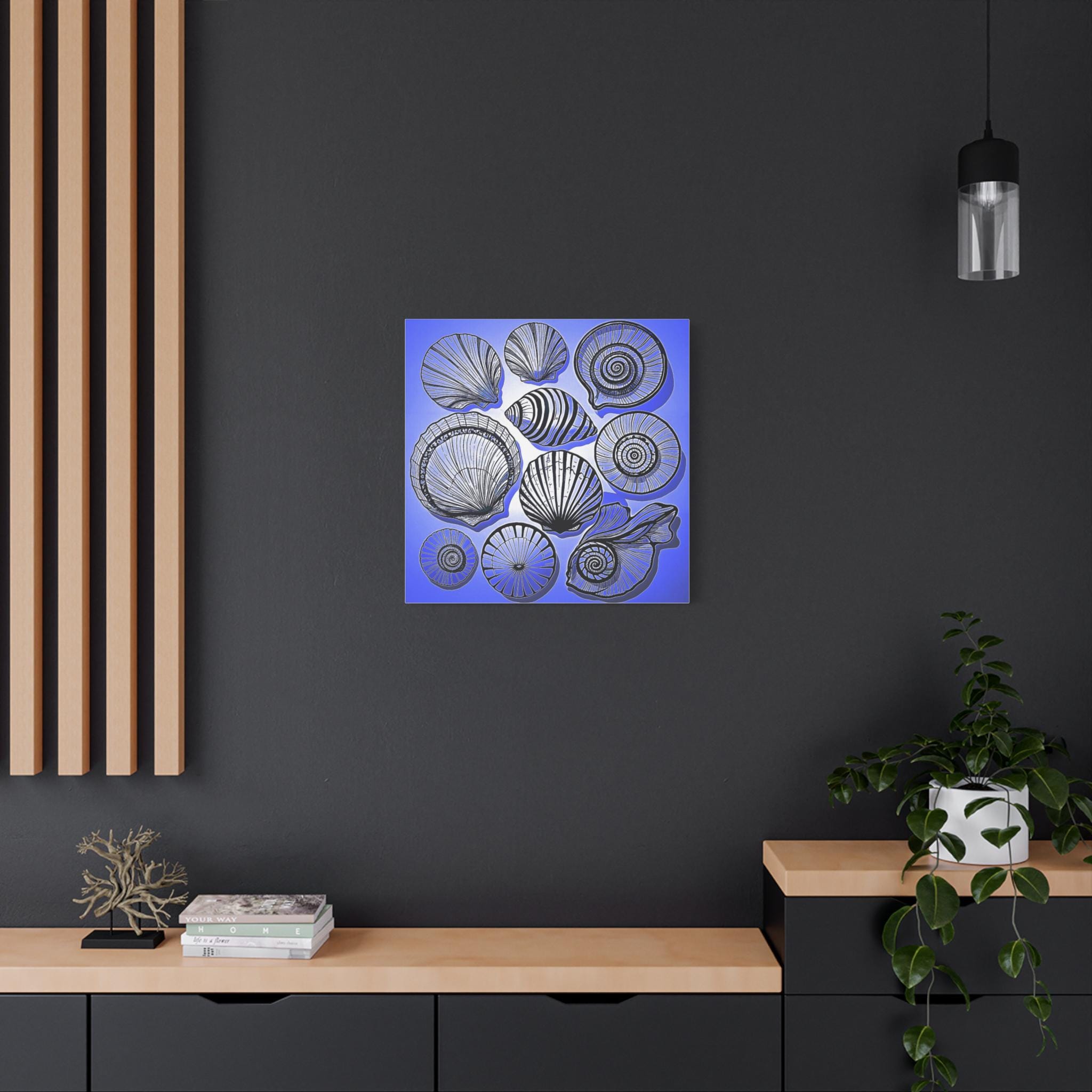 Shells 2 - Canvas Wall Art
