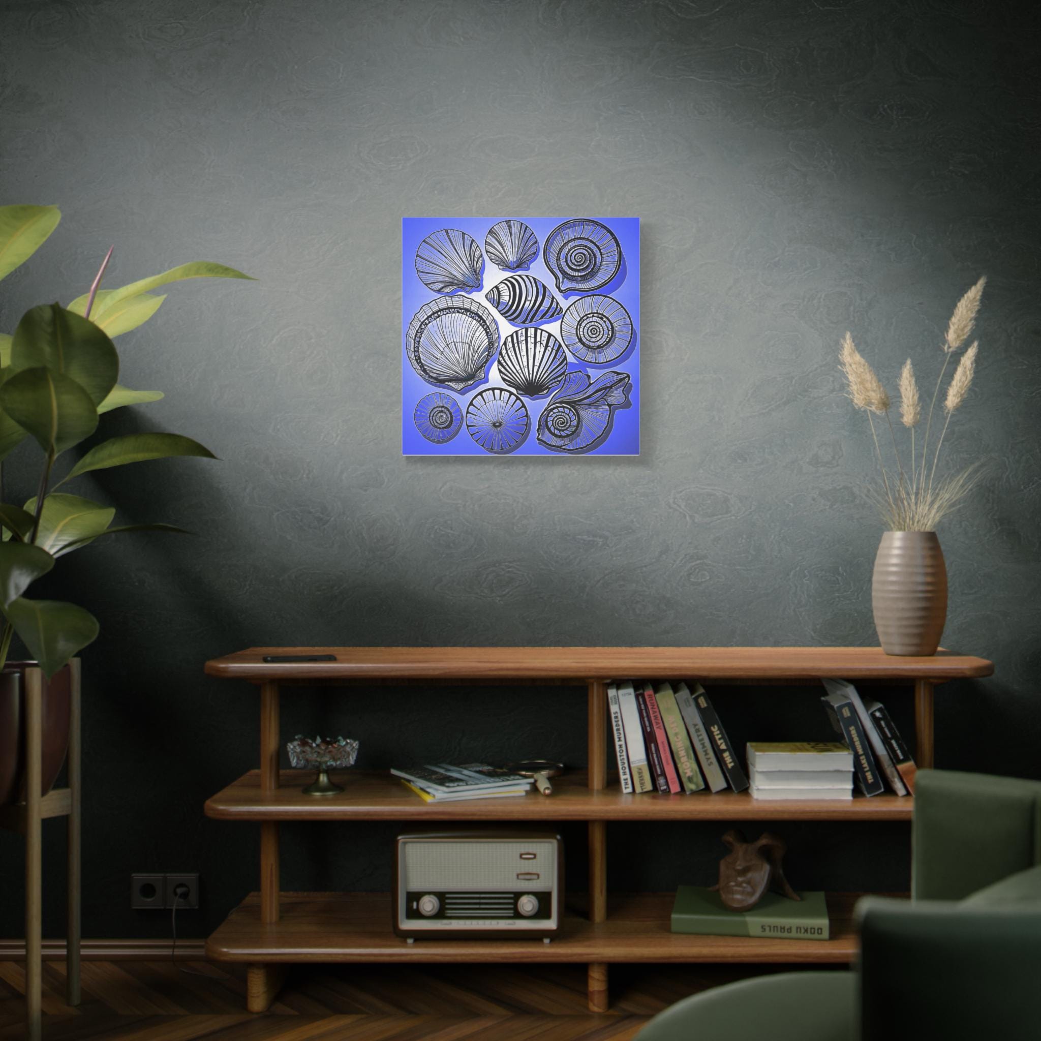 Shells 2 - Canvas Wall Art