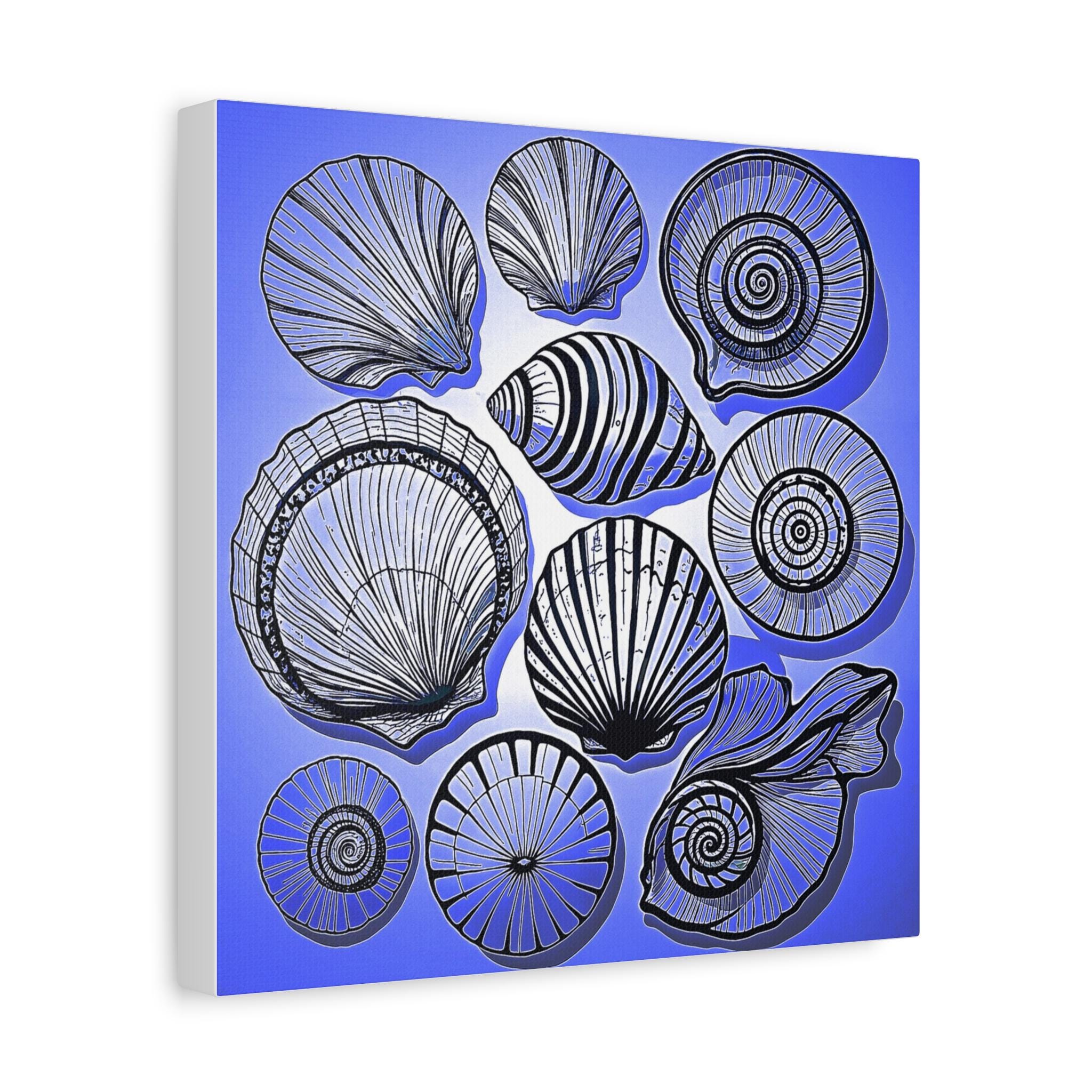 Shells 2 - Canvas Wall Art