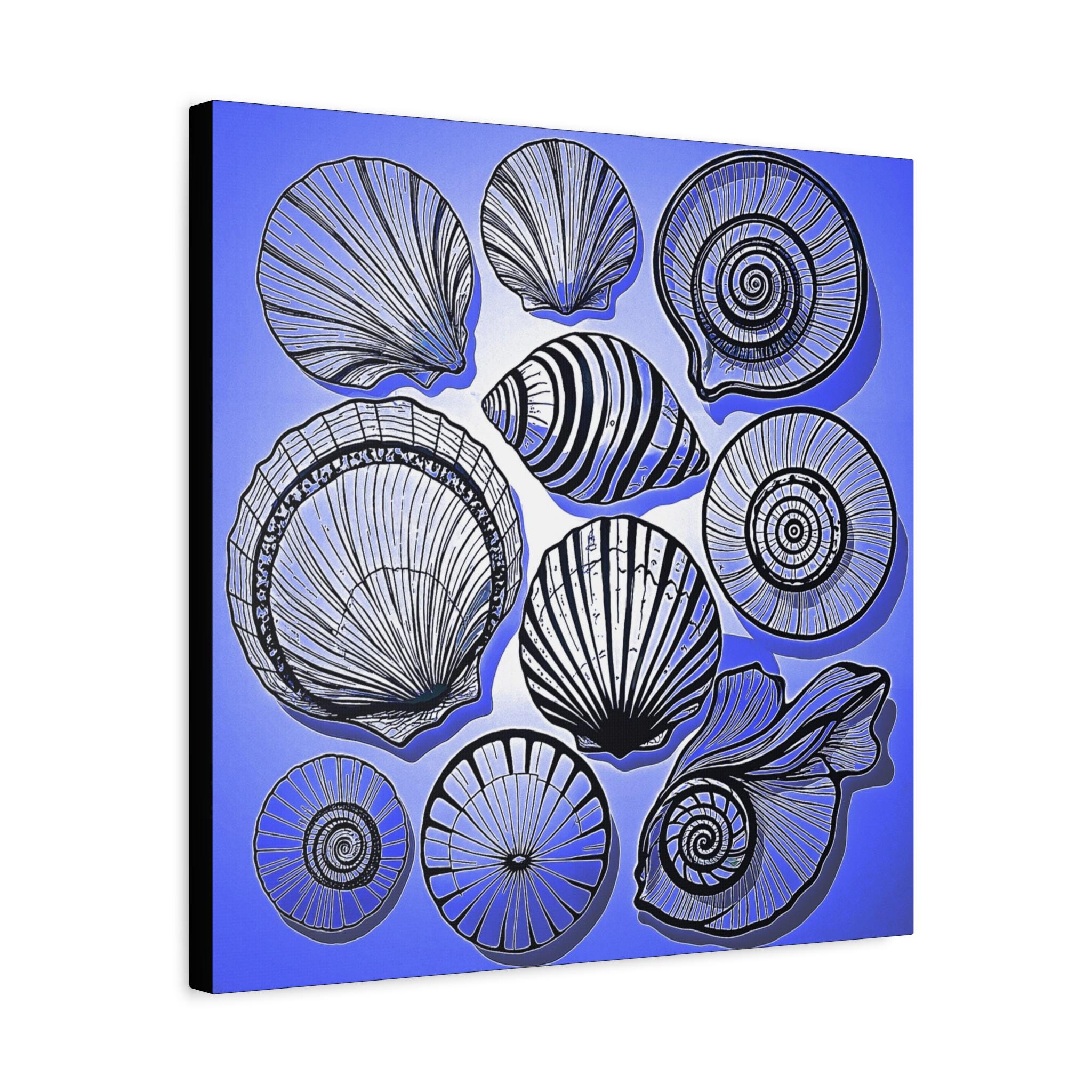 Shells 2 Canvas Wall Art