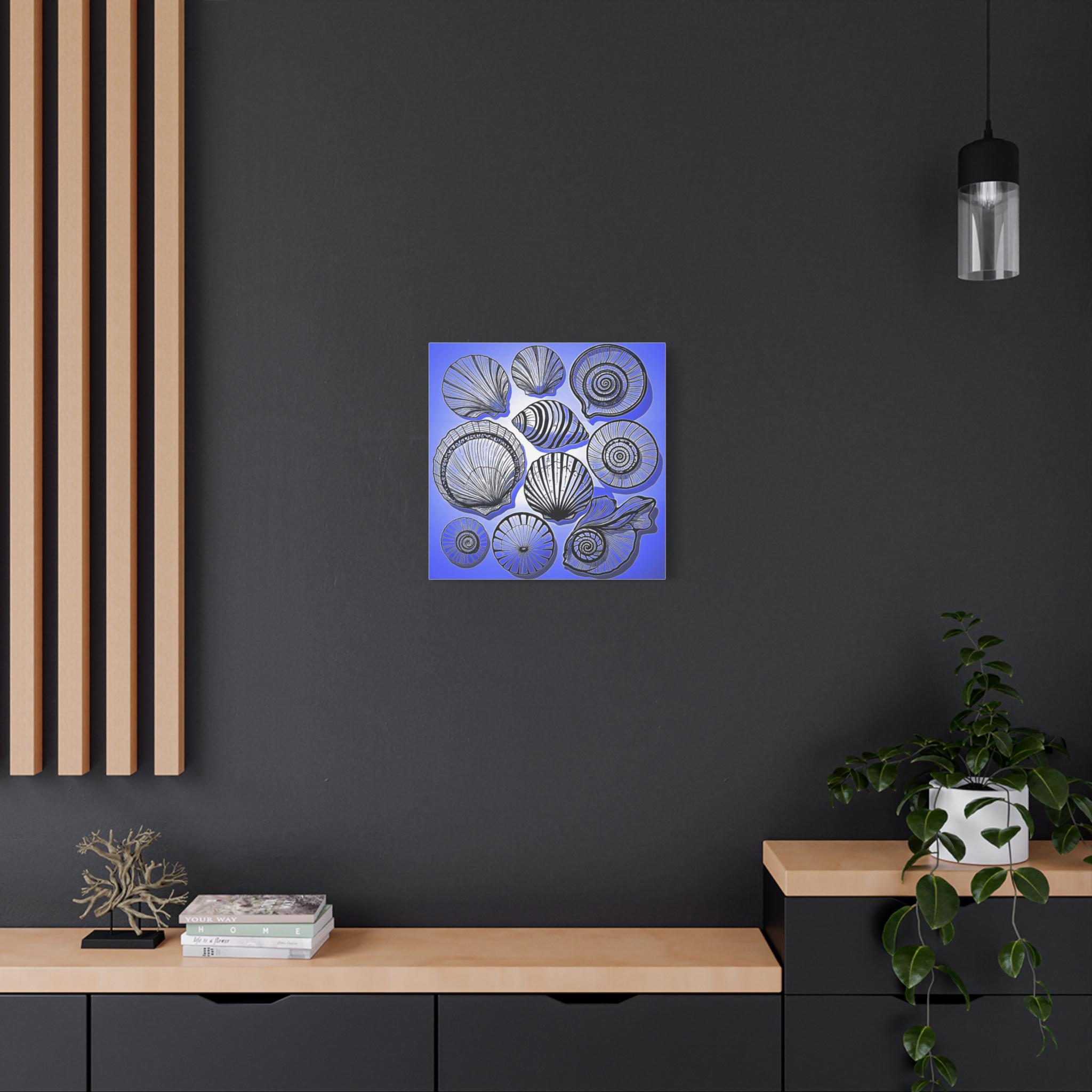 Shells 2 - Canvas Wall Art