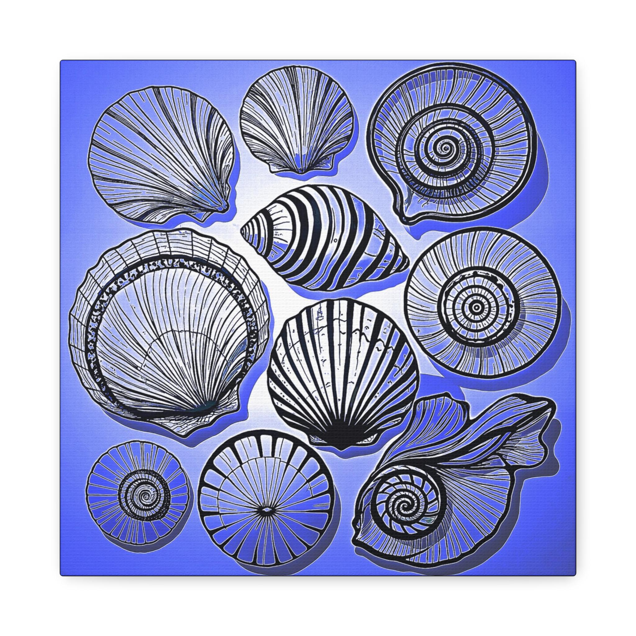 Shells 2 Canvas Wall Art