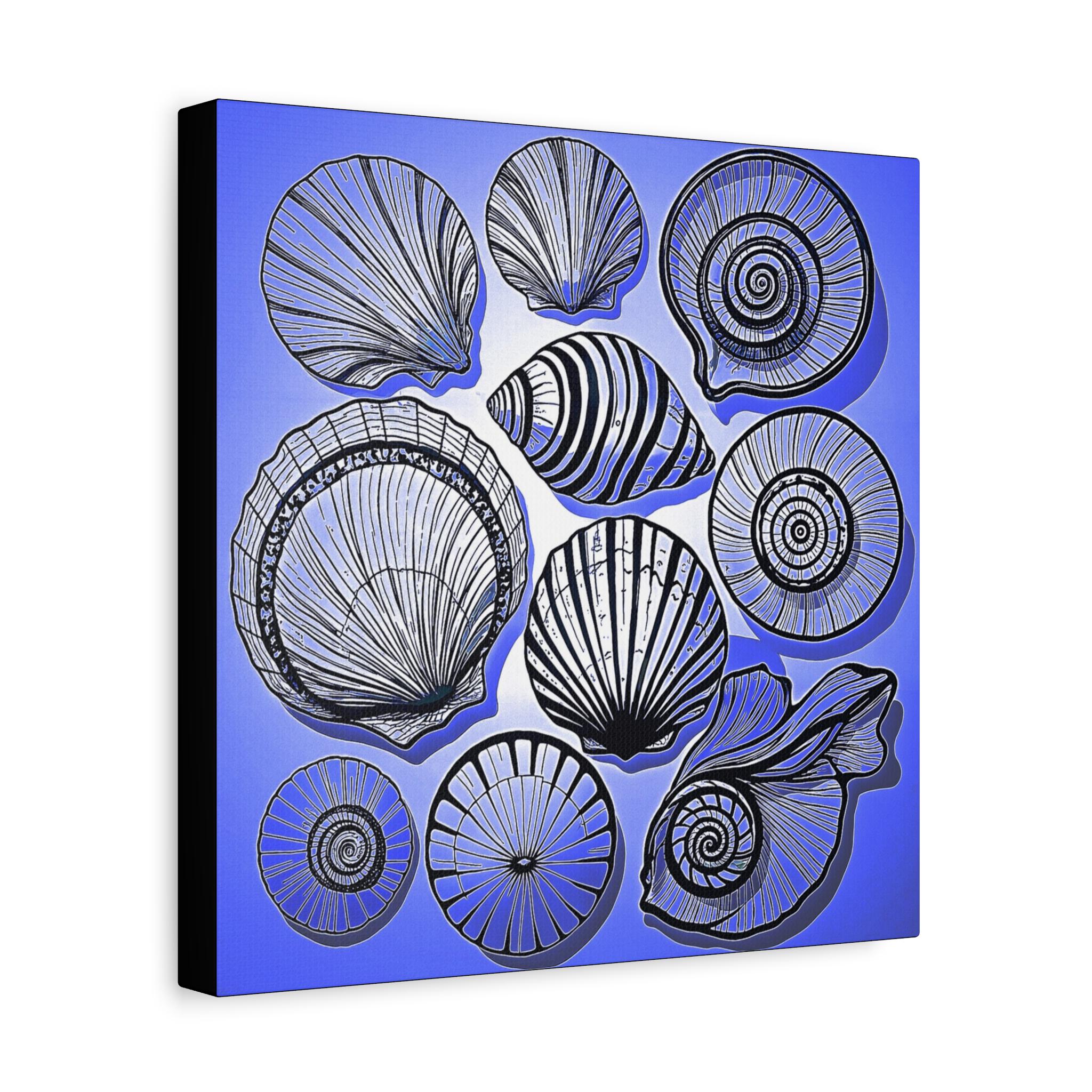 Shells 2 Canvas Wall Art