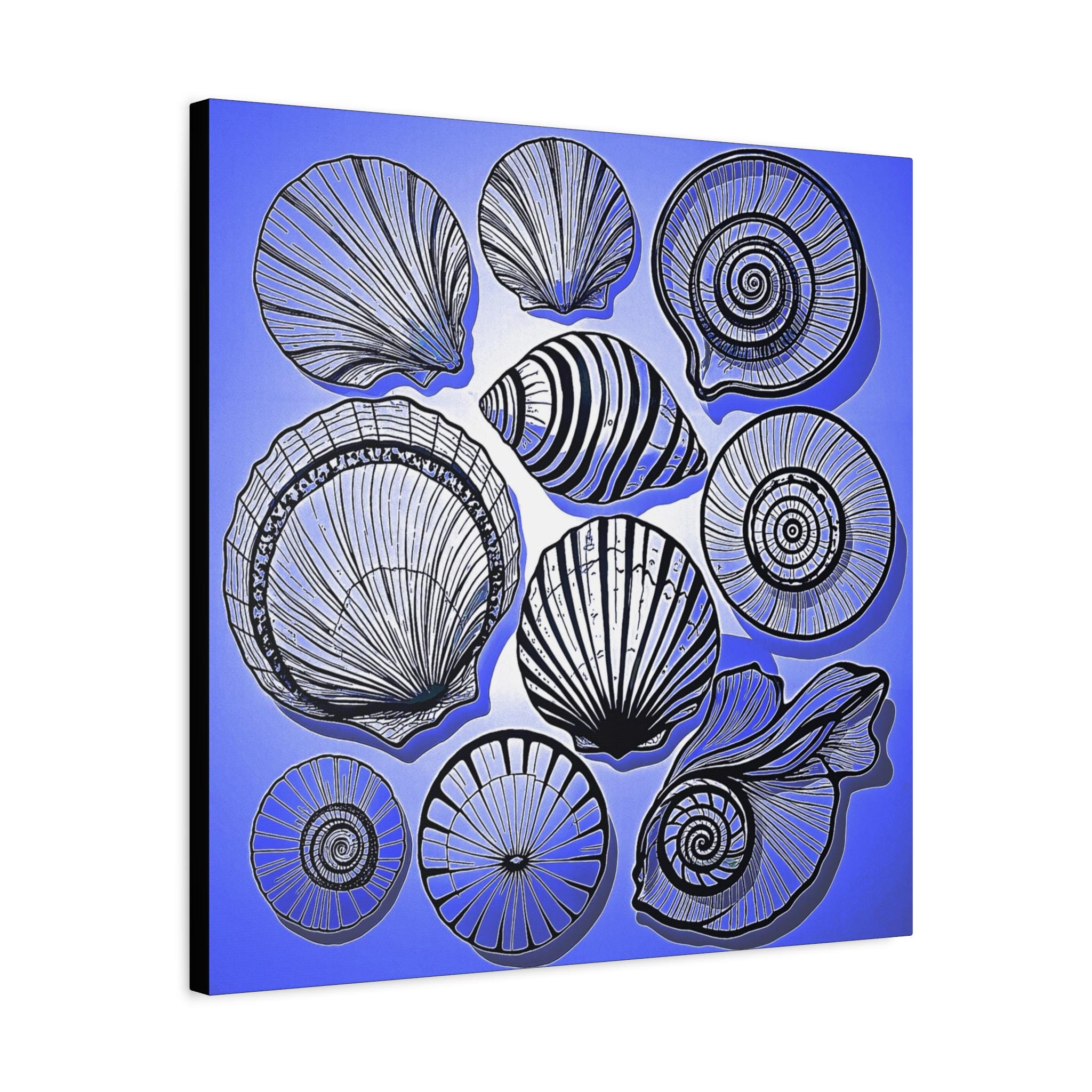 Shells 2 Canvas Wall Art