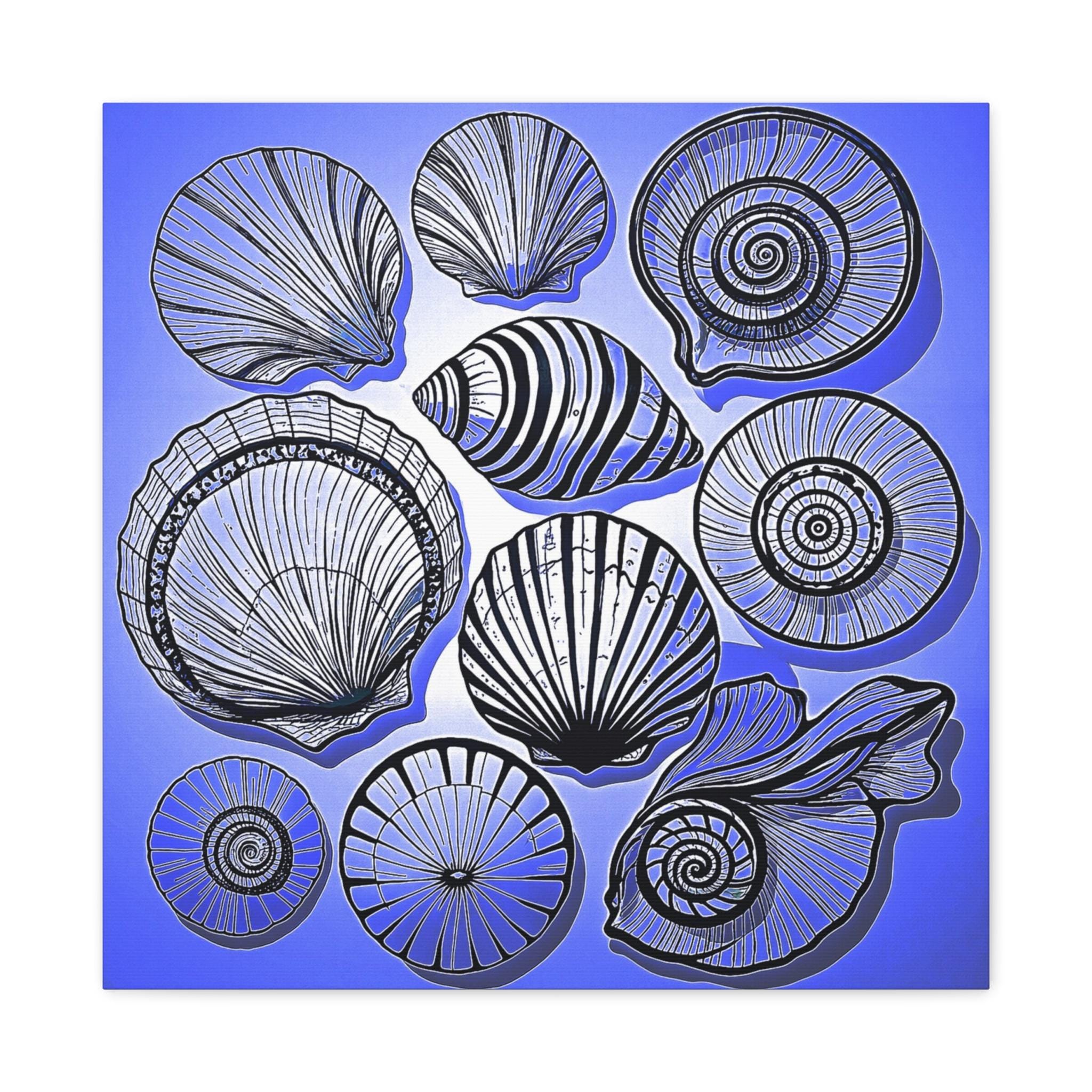 Shells 2 - Canvas Wall Art