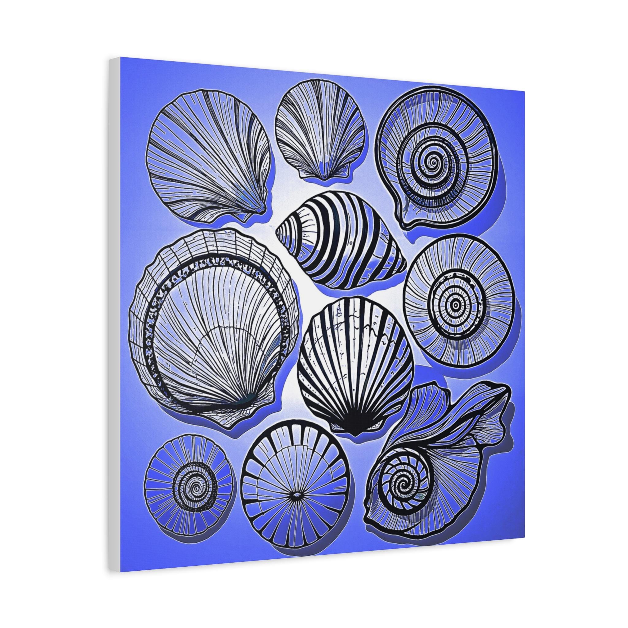 Shells 2 - Canvas Wall Art