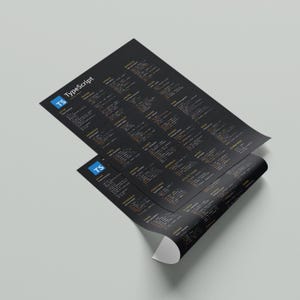 Cheatsheetposter voor programmeren met getypte scripts – kunst aan de muur met referentie voor ontwikkelaars afbeelding 5