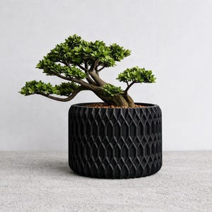 Peut inclure: Un bonsaï aux feuilles vertes et au tronc brun est planté dans un pot noir cylindrique texturé. Le pot présente un motif géométrique. L'arrière-plan est un mur blanc uni et un sol gris.