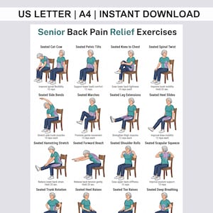 Back Pain Relief Exercises For Seniors, Lower Back Workout For Seniors, Chair Yoga Poster for Older Men, No Equipment Seated Exercise Chart